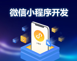 自貢的套餐-微信小程序開發